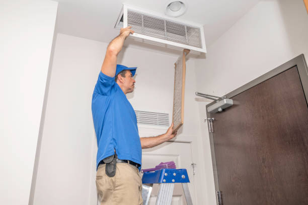 Best Affordable Air Duct Cleaning  in Roosevelt, NY